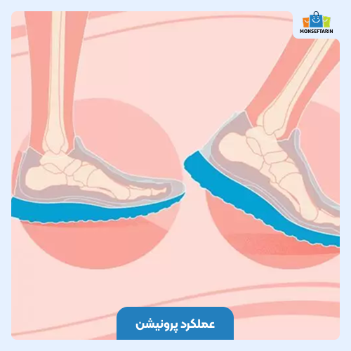 عملکرد پرونیشن