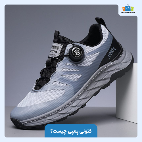 کتونی پمپی چیست؟